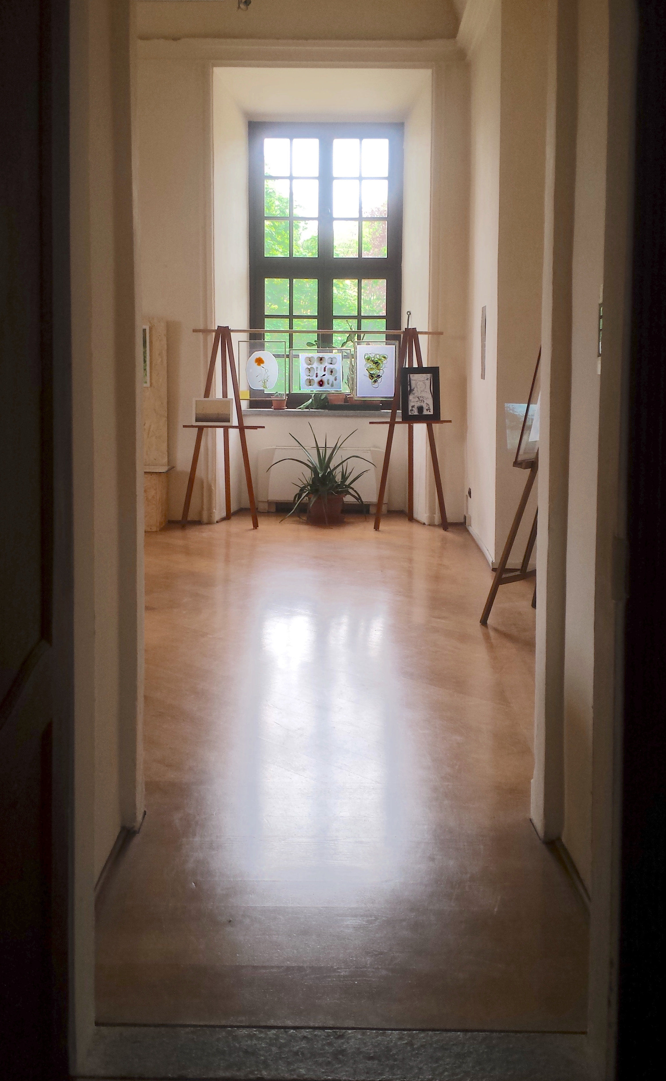 ingresso sala 2