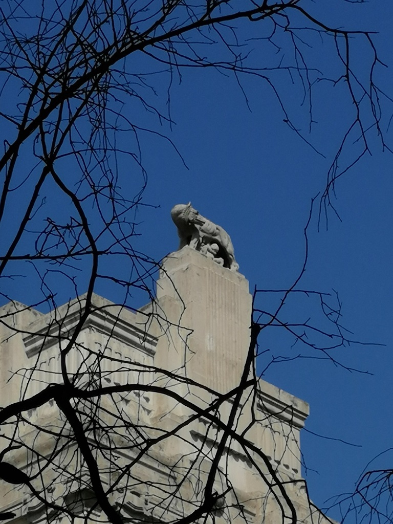lupa a Milano
